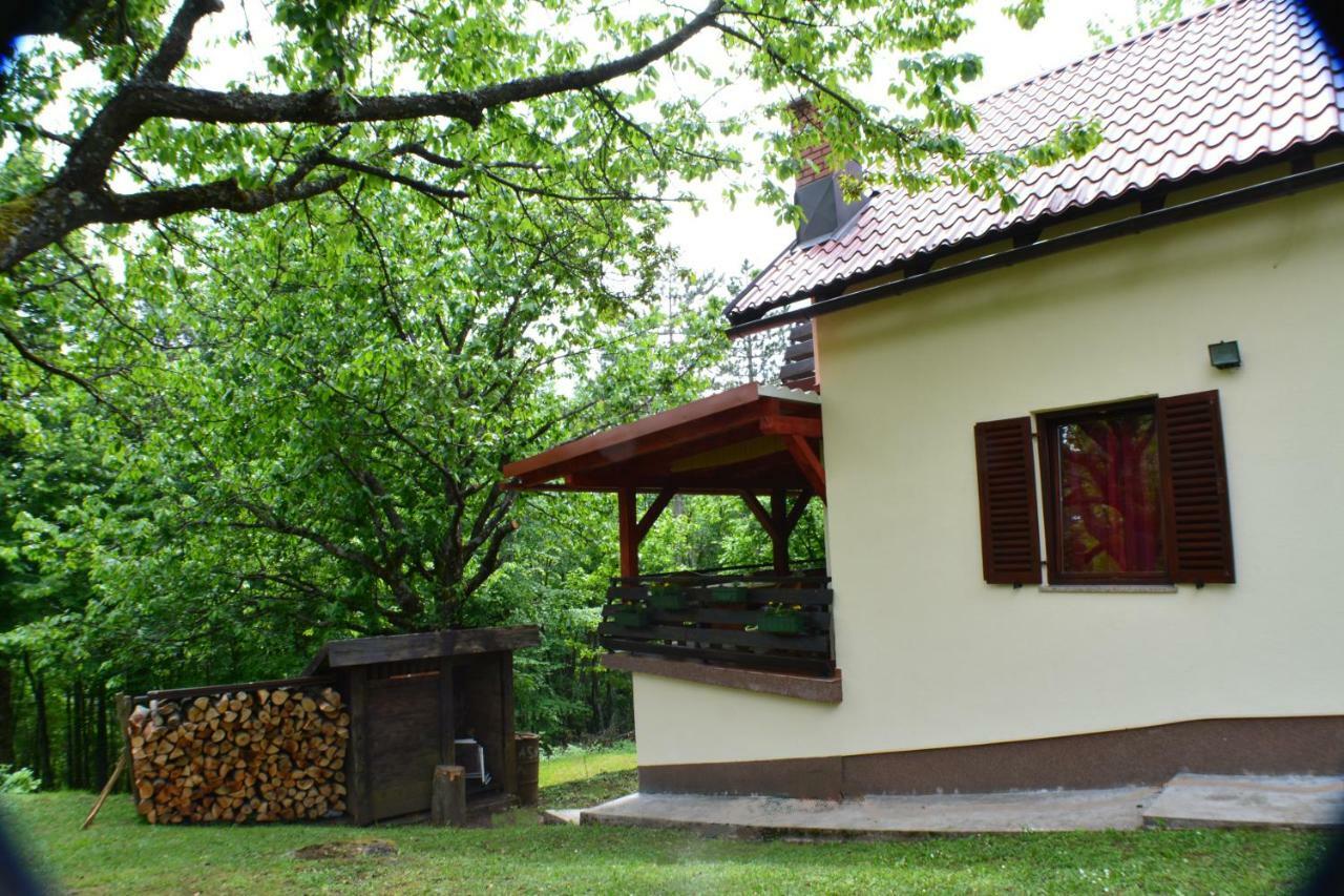 Skrad Holiday Home Coprnicka Hisa מראה חיצוני תמונה